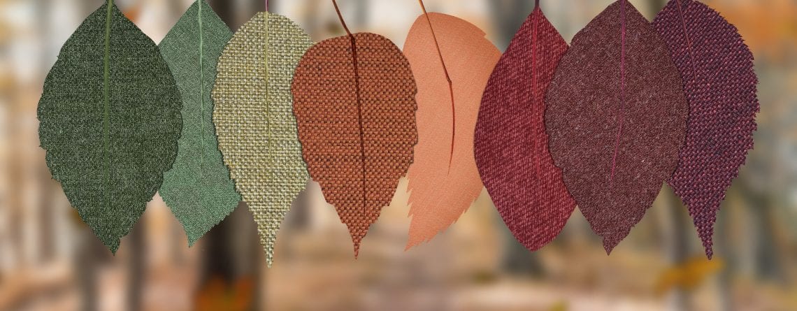 Spätsommer trifft Frühherbst