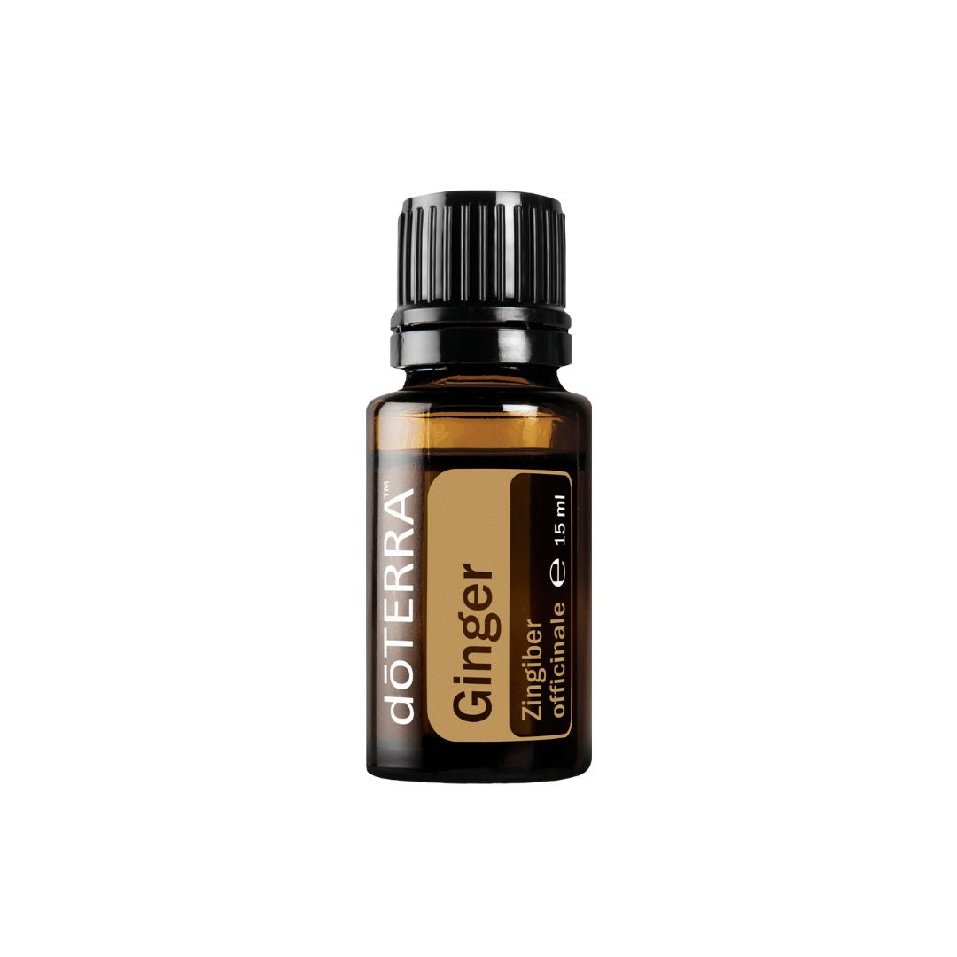Ginger - Zingiber officinale (Ingwer) 15 ml