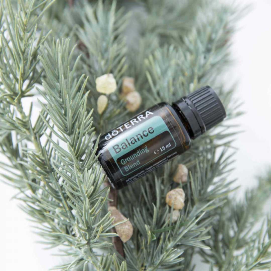 dōTERRA Balance™ Erdende Mischung 15 ml