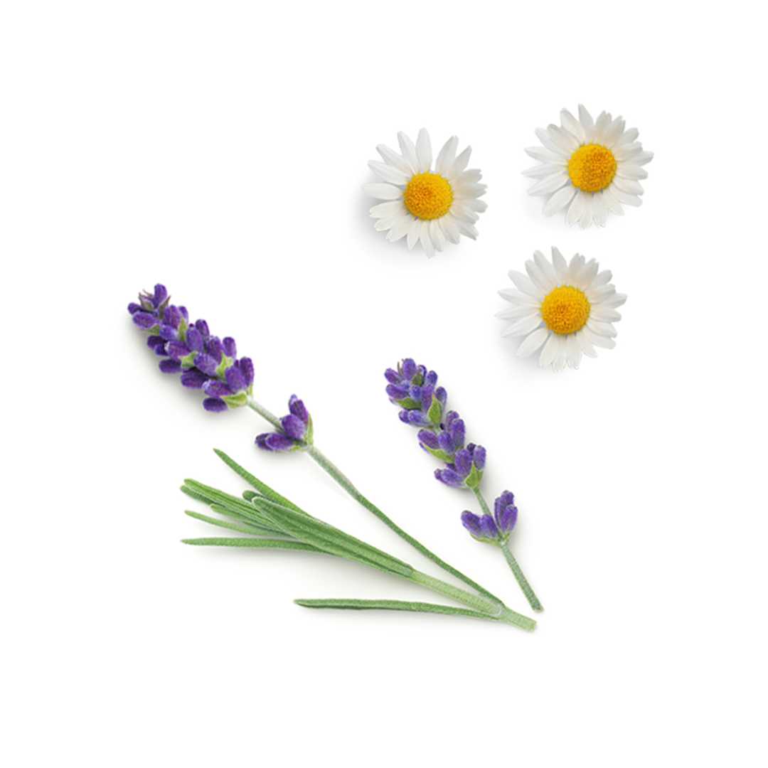 dōTERRA Calmer™ Erholungsmischung 10 ml