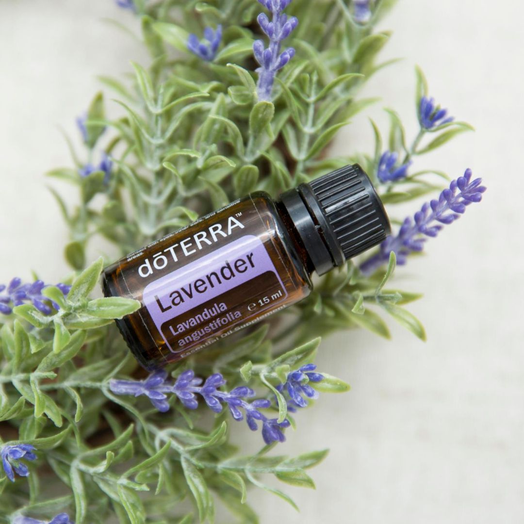 doTERRA Lavendel (Lavender) 15ml