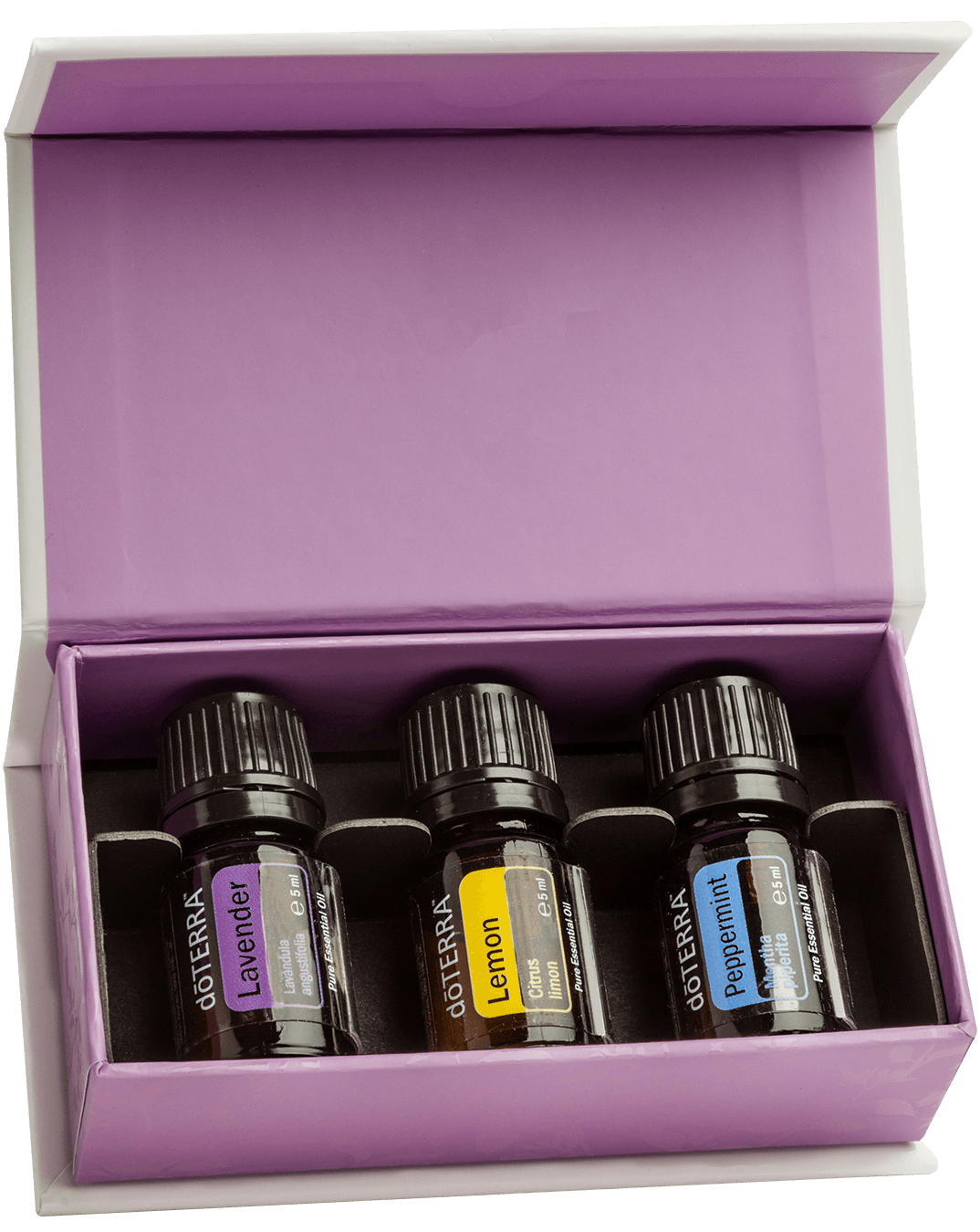 doTERRA Introductory Kit 3 x je 5 ml