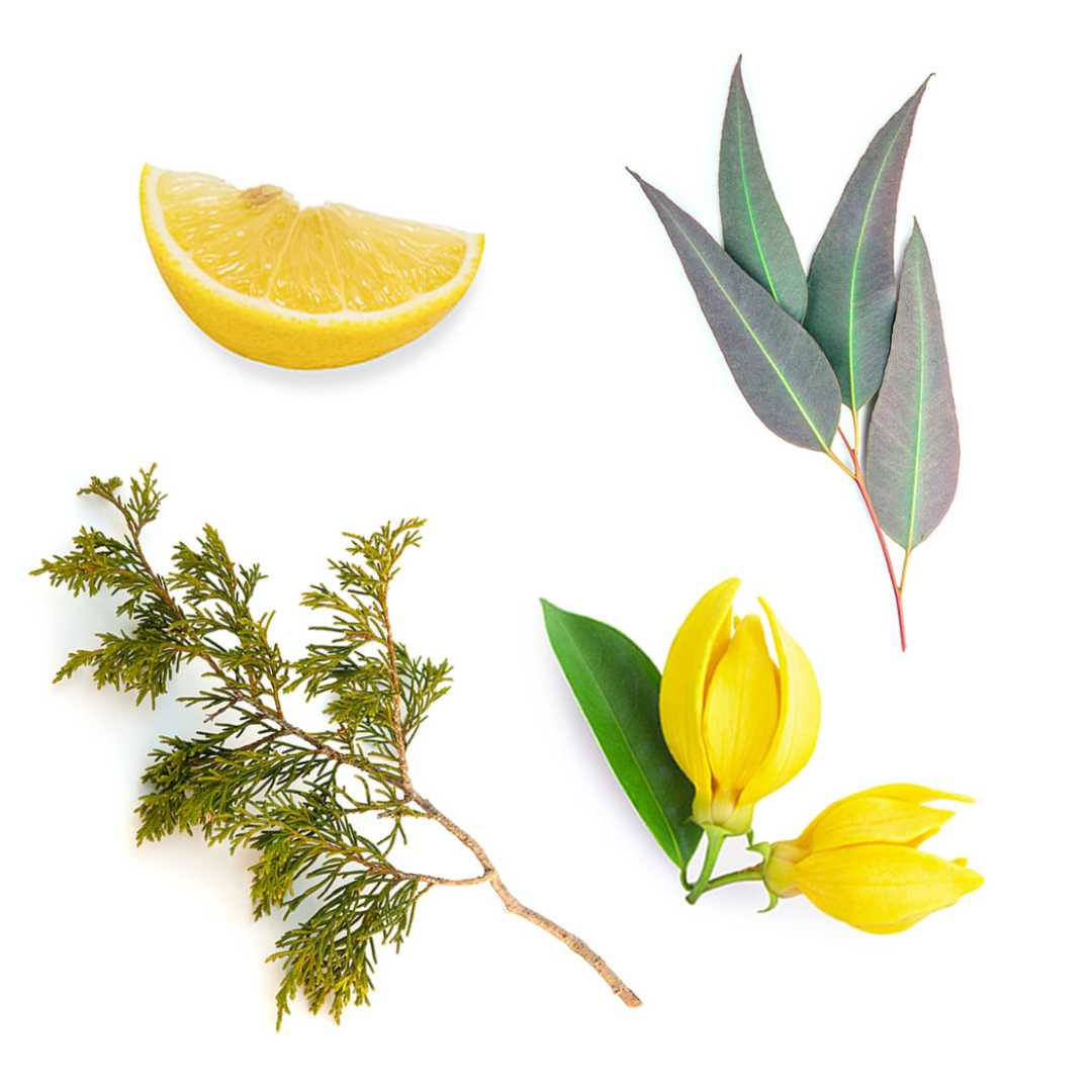 doTERRA TerraShield™ Spray Outdoor-Mischung 30 ml