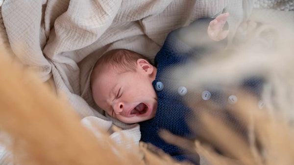 DE BAMBINI - das Münchner Label für nachhaltige Baby- und Kindermode
