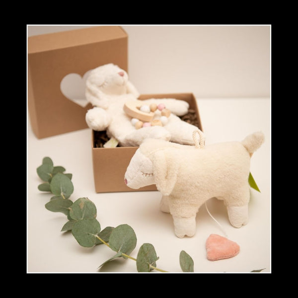 Geschenkbox "Schäfchenzauber"