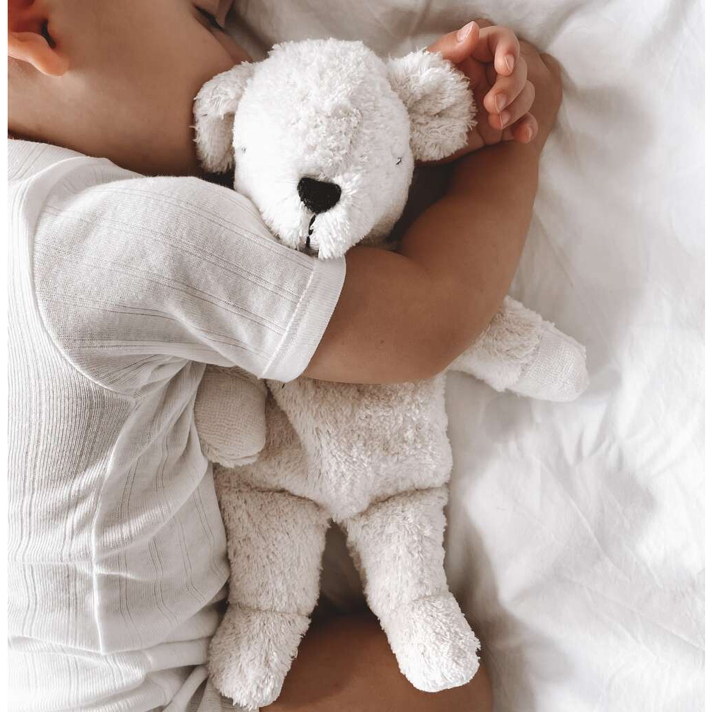 Kleines Kuscheltier Eisbär