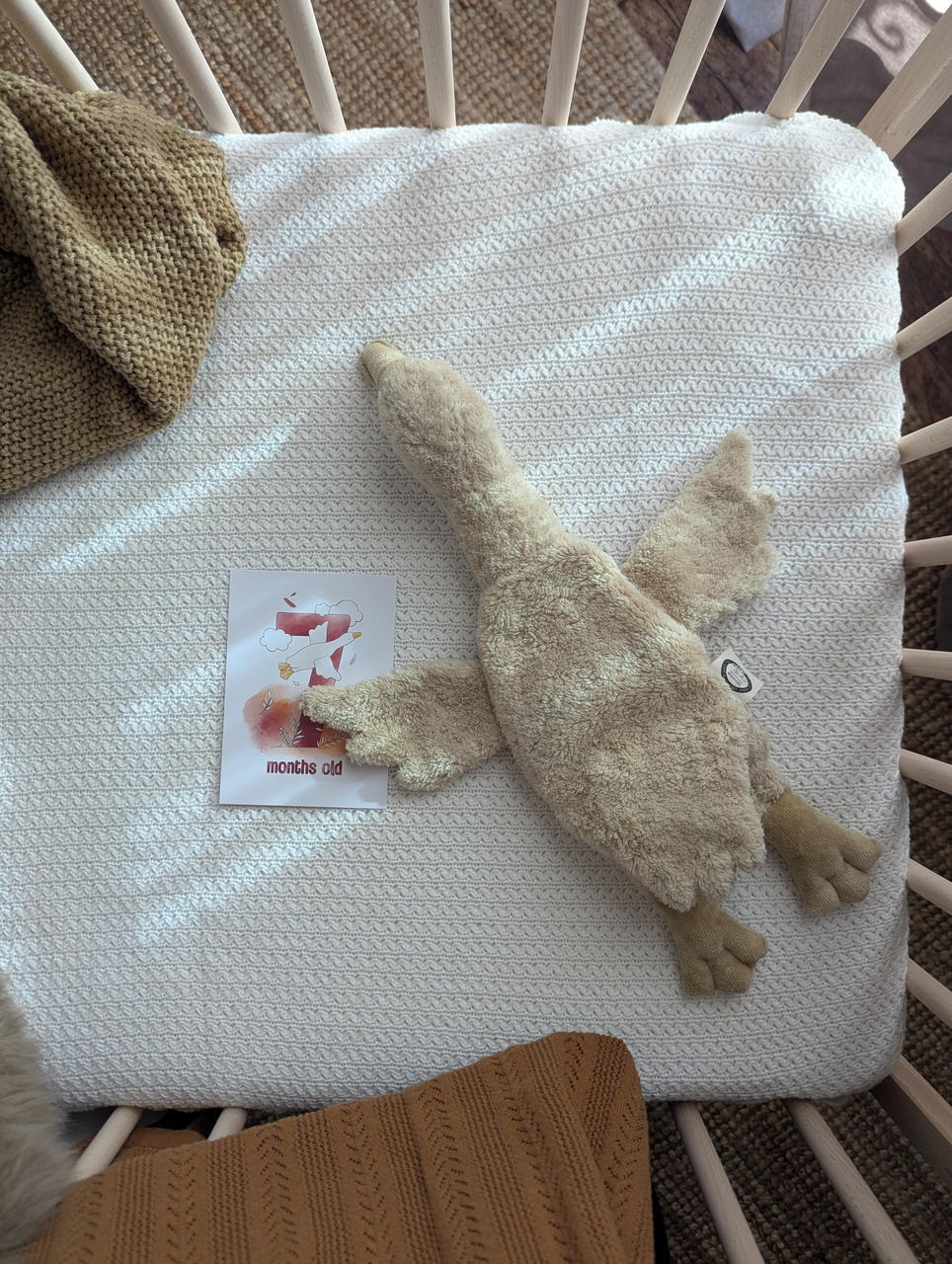 Kleines Wärmekuscheltier Gans