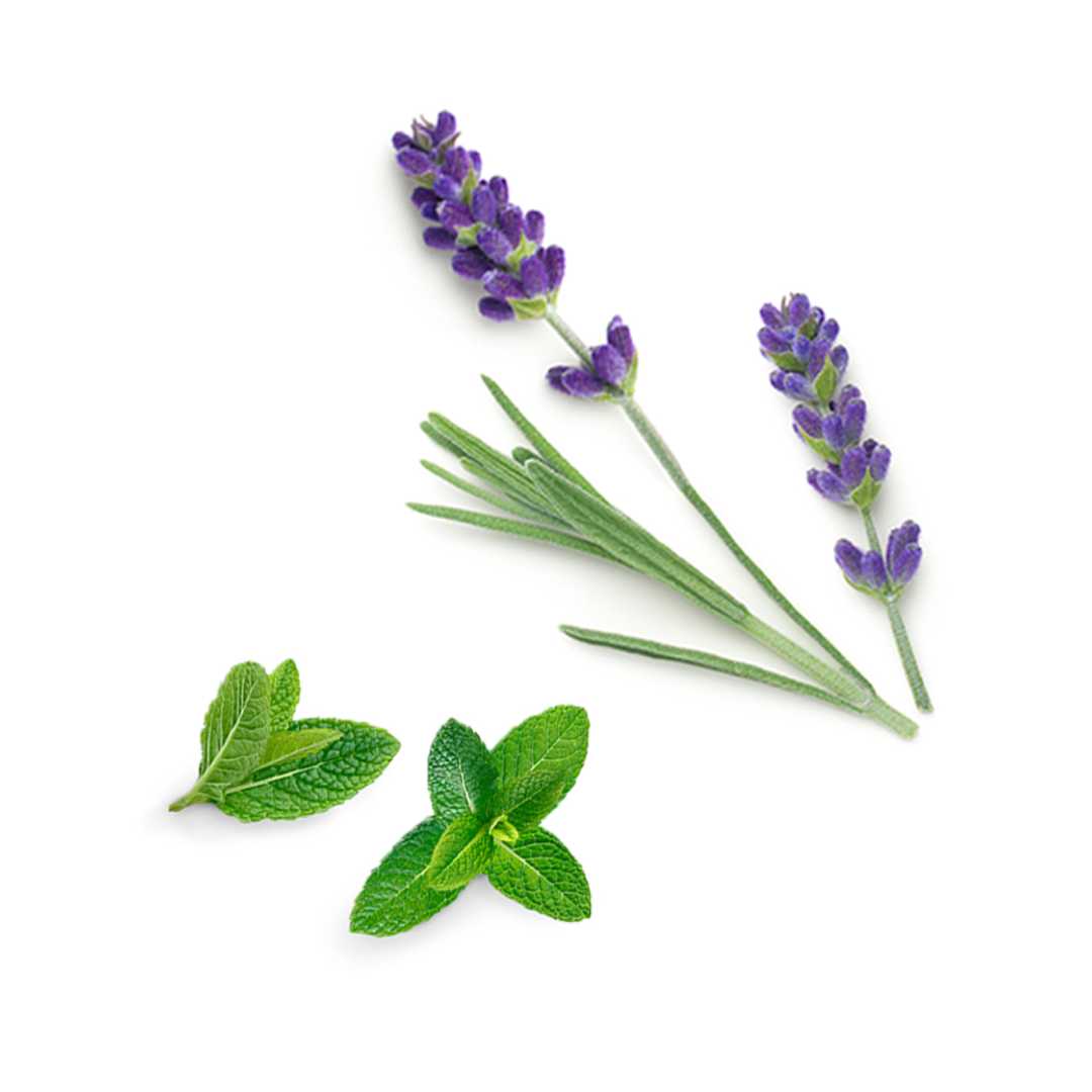 dōTERRA Rescuer™ Lindernde Mischung 10 ml